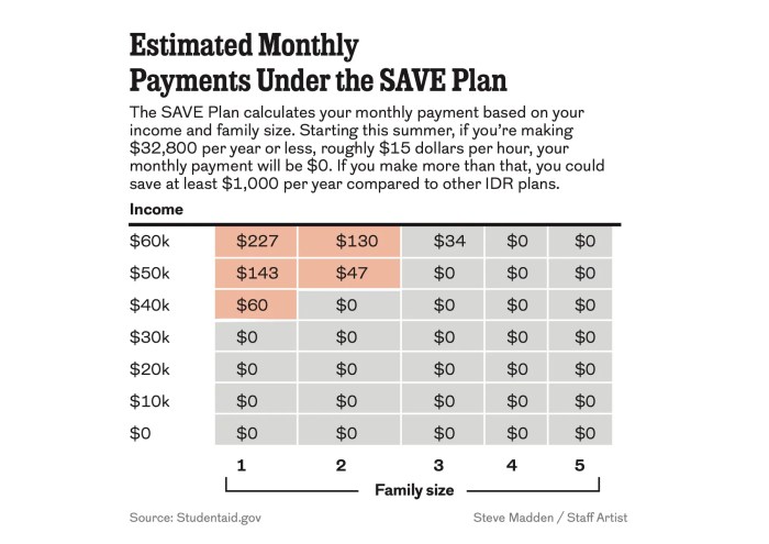 What is the save program for student loans