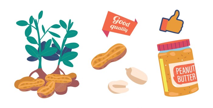 Student loan butter peanut assistance resources