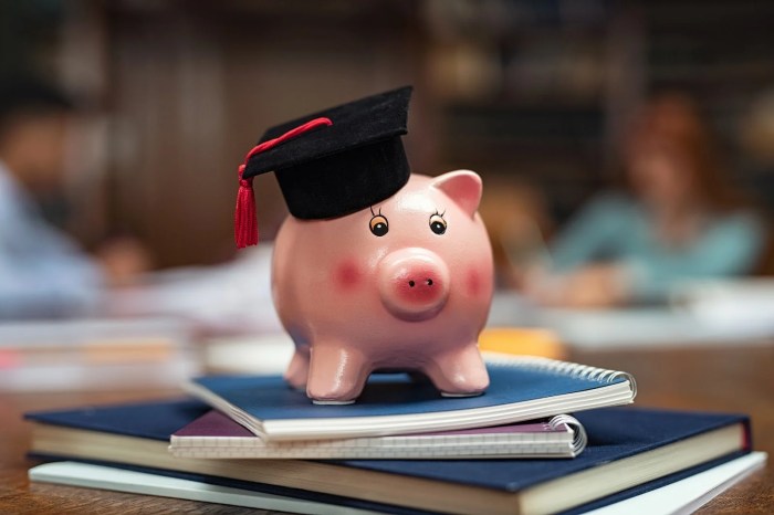 Loan term student