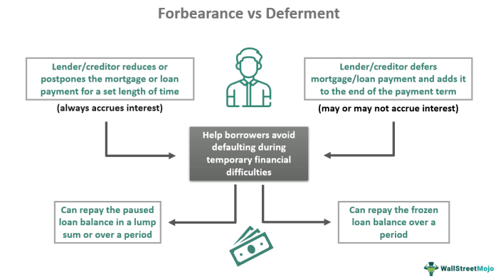 Forbearance loan student use forgiveness