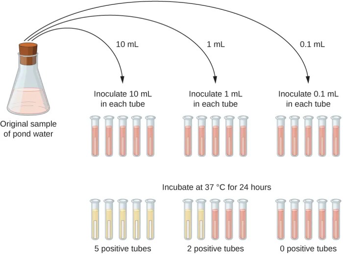 Mpn method test probable number most procedure coliform microbiology results tube broth water ml tubes growth microbial sample lactose microbes