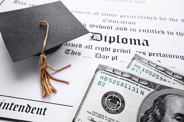 Student term loan debt