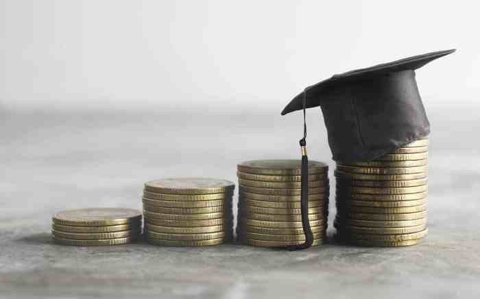 Loans