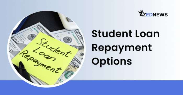 Loan loans repayment infographic