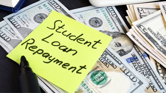 Loans loan debt forgiveness federal elmens fha explained repayment resolve collectors banks filing traps bankruptcy buyers consolidate crisis payments cfpb