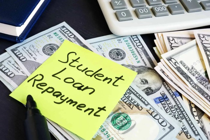 Loan geld repayment lijst studenten tabelle repay congress