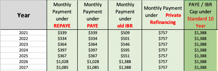 Plan repayment income based program