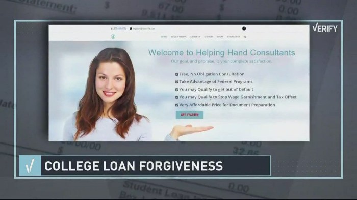 Loans strayer student