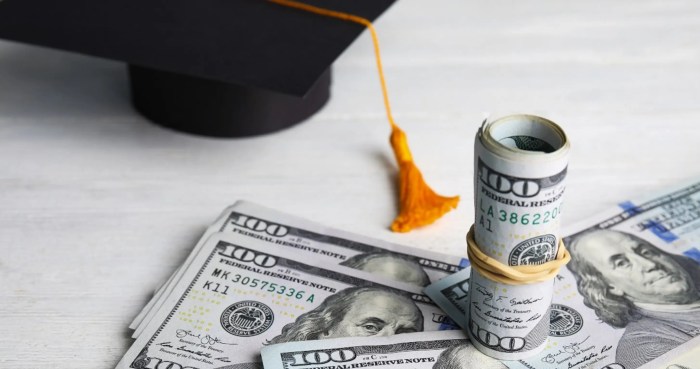 Debt student crisis loan college loans say vox protest rates completion overblown problem real bowen mcpherson overshadowed focus issues important