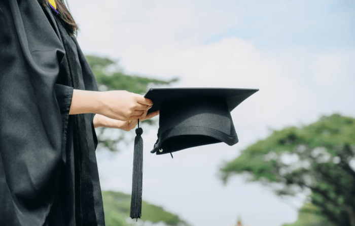Presupuesto vectores loans student
