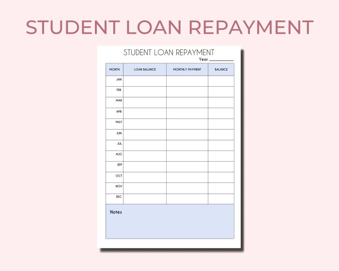 Student loan tracker