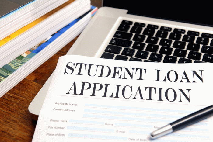 Loans