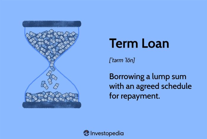 Loan category knowledge