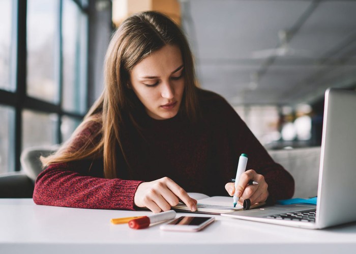 Docente curador loan lendedu requirements student curar