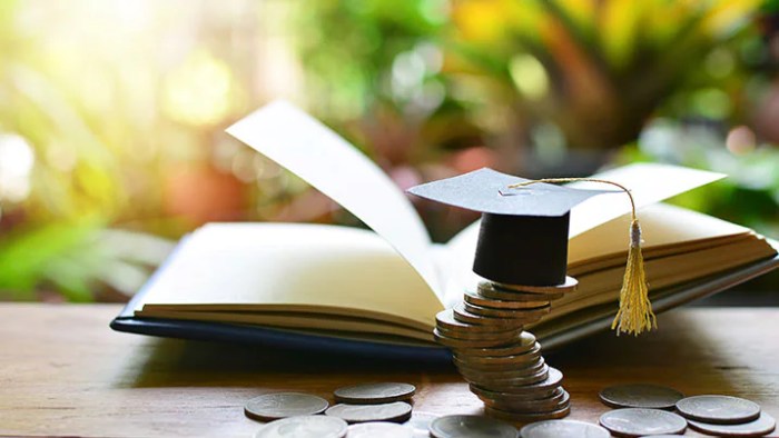 Student loans loan debt paid paying federal restructure radically eliminate dragging burden voya workplace offer pharmacist jamesgmartin