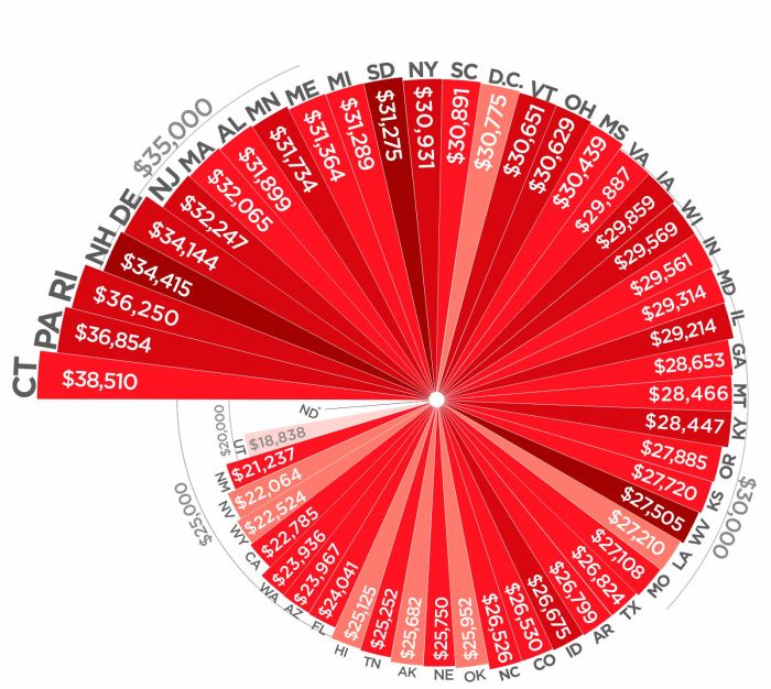 Highest amount of student loan debt