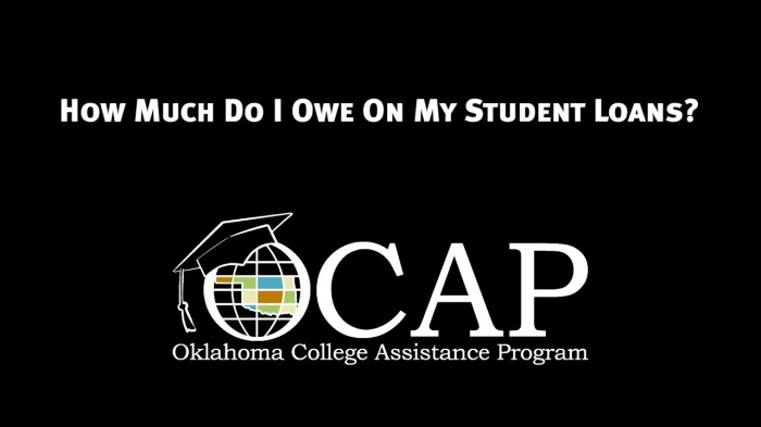 How to find out all my student loans
