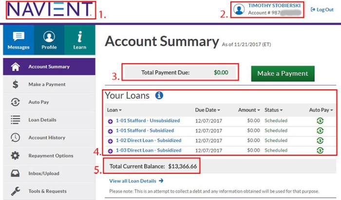 Loan