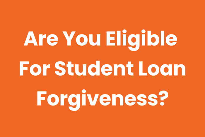 20000 student loan