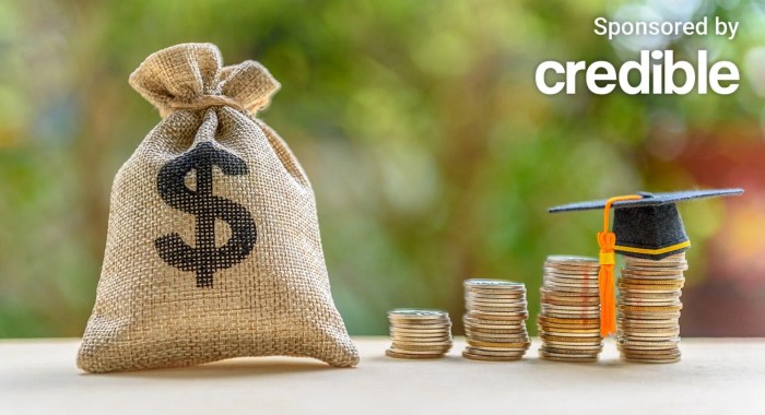 Loan consolidation consolidate loans refinancing