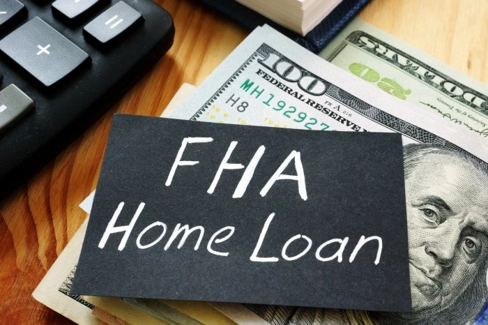 Fha loan requirements conventional loans Fha loan requirements conventional loans