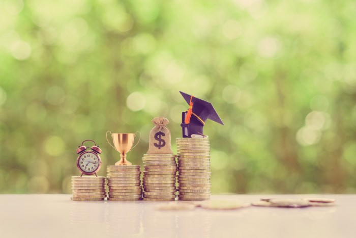 Loan loans money