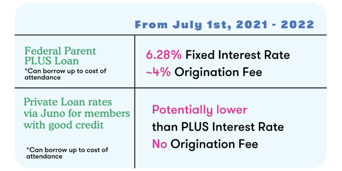 Parent loans loan student