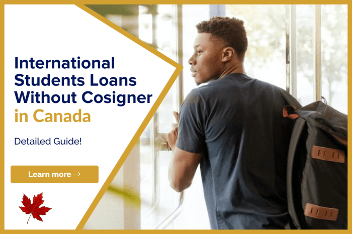 International student loans no cosigner