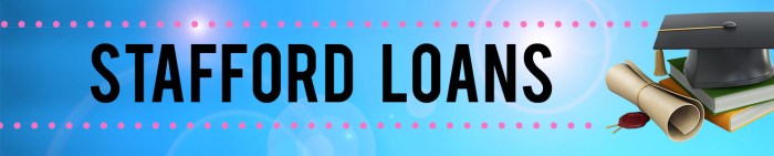 Federal unsubsidized stafford student loan