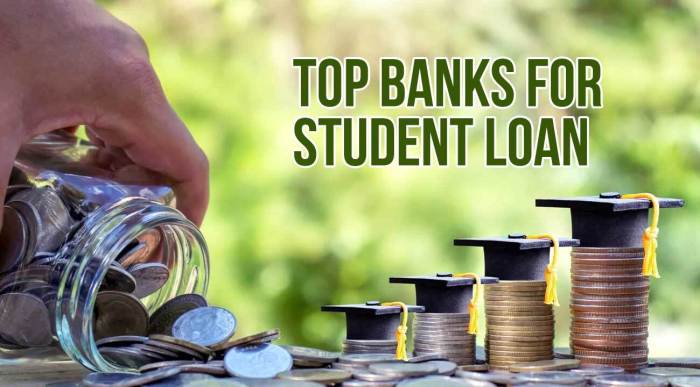 Loan