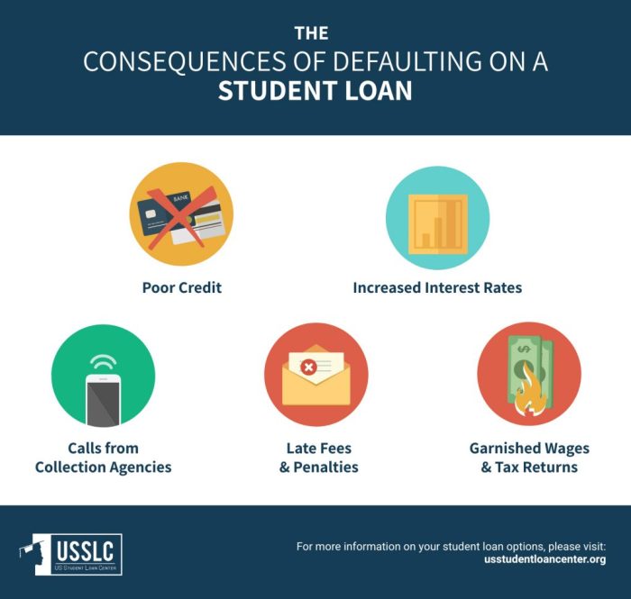 Defaulting loans loan consequences