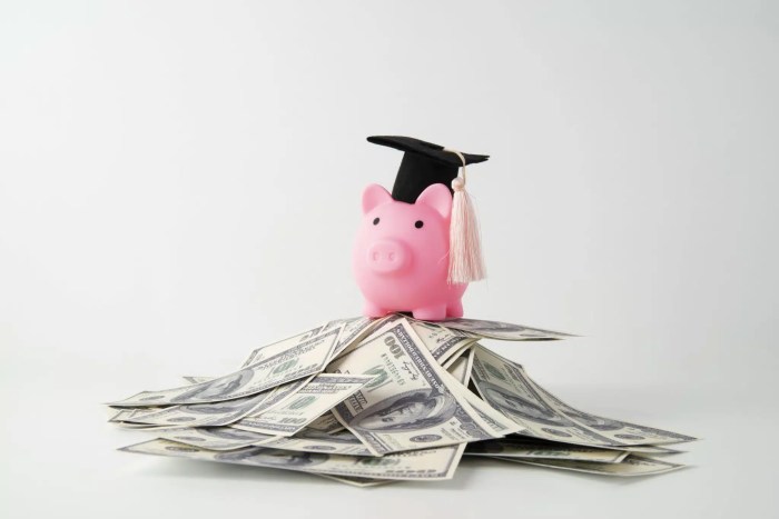 Education banks loans rates lowest offer loan sector private