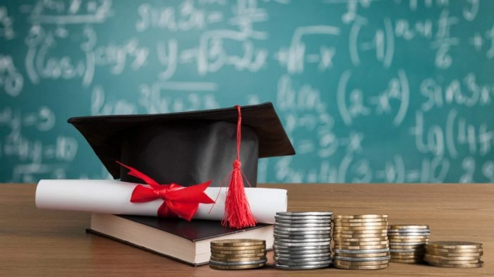 Is discover student loan good