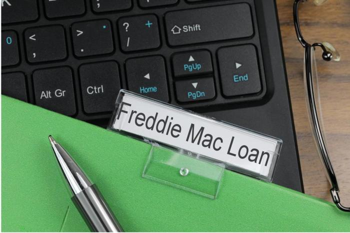 Fannie freddie mae mac loans guidelines student