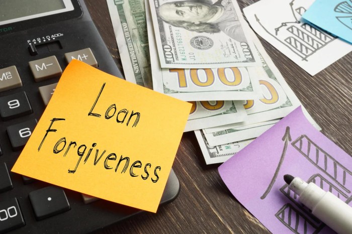 Student forgiveness loan loans debt biden students consolidate 2020 federal public plans service education steps get list impact creditloan help