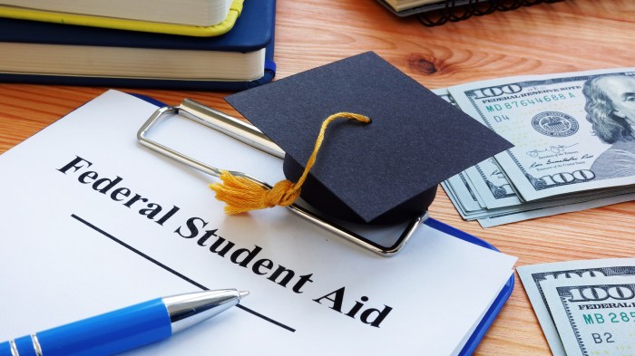 Loans Loans