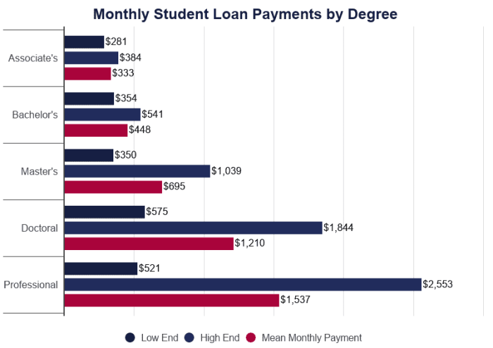 Debt loan age demographics