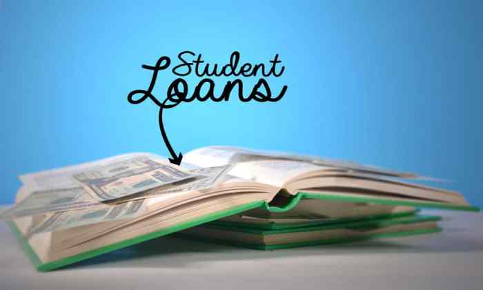 Loans