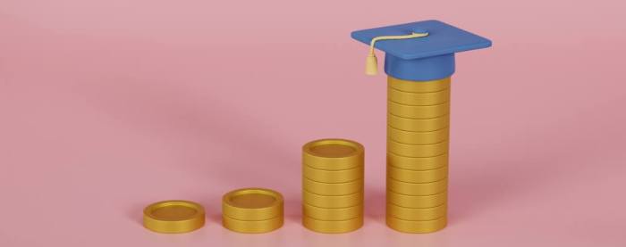 Student federal loan consolidation program usa slideshare loans