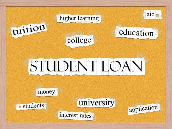 Discvoer student loans