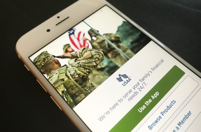 Does usaa offer student loans