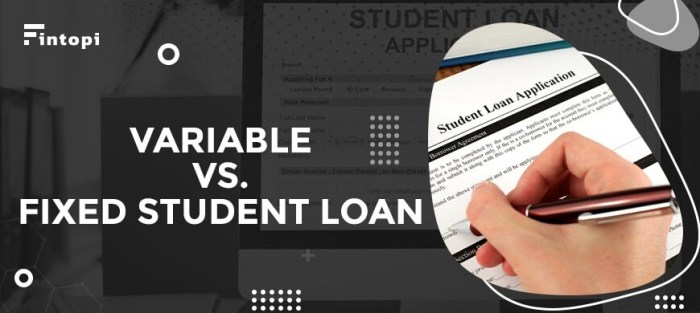 Fixed student loan rates