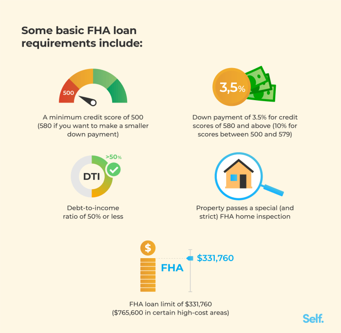 Fha rules on student loans