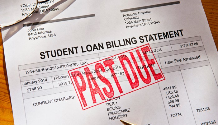 Student loans disability due