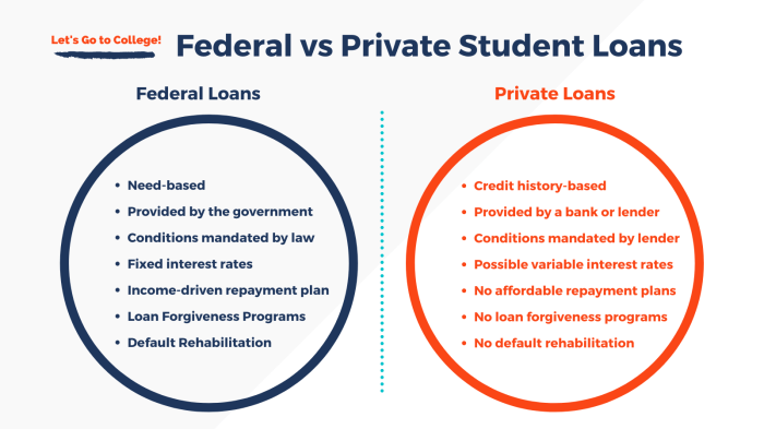 Private federal vs loan student