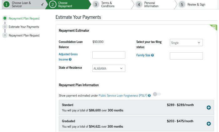 Consolidate federal student loan