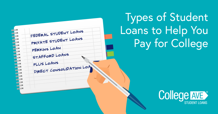 Loans