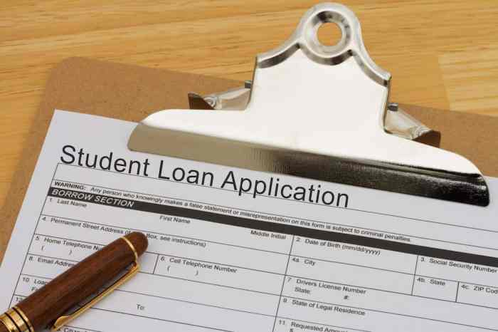 Loan limits loans ppt