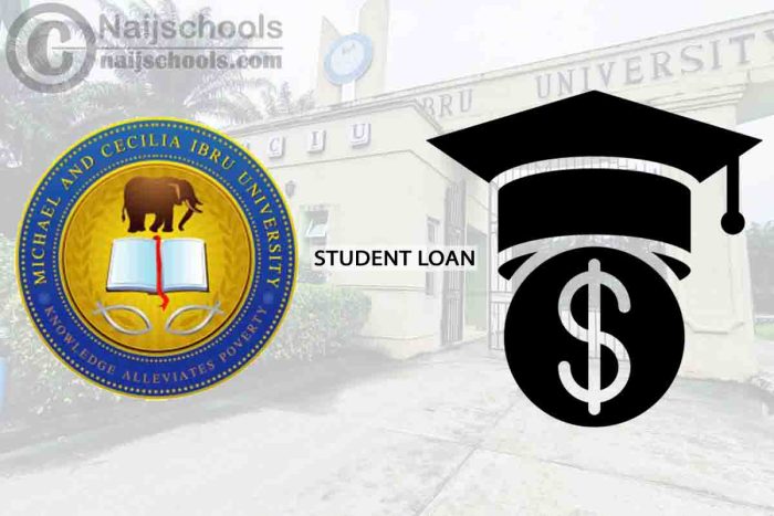 Msu credit union student loans
