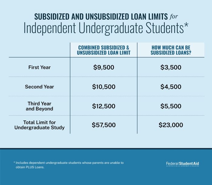 Direct plus student loans